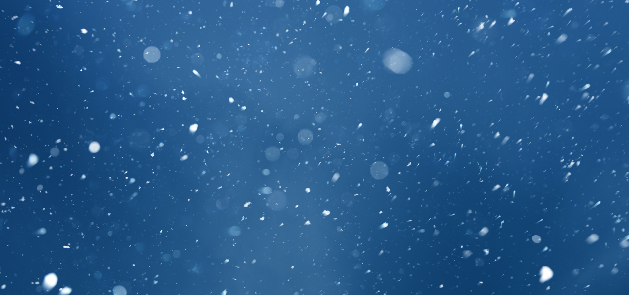 Things to Do with Kids in Metro Detroit January 2025
